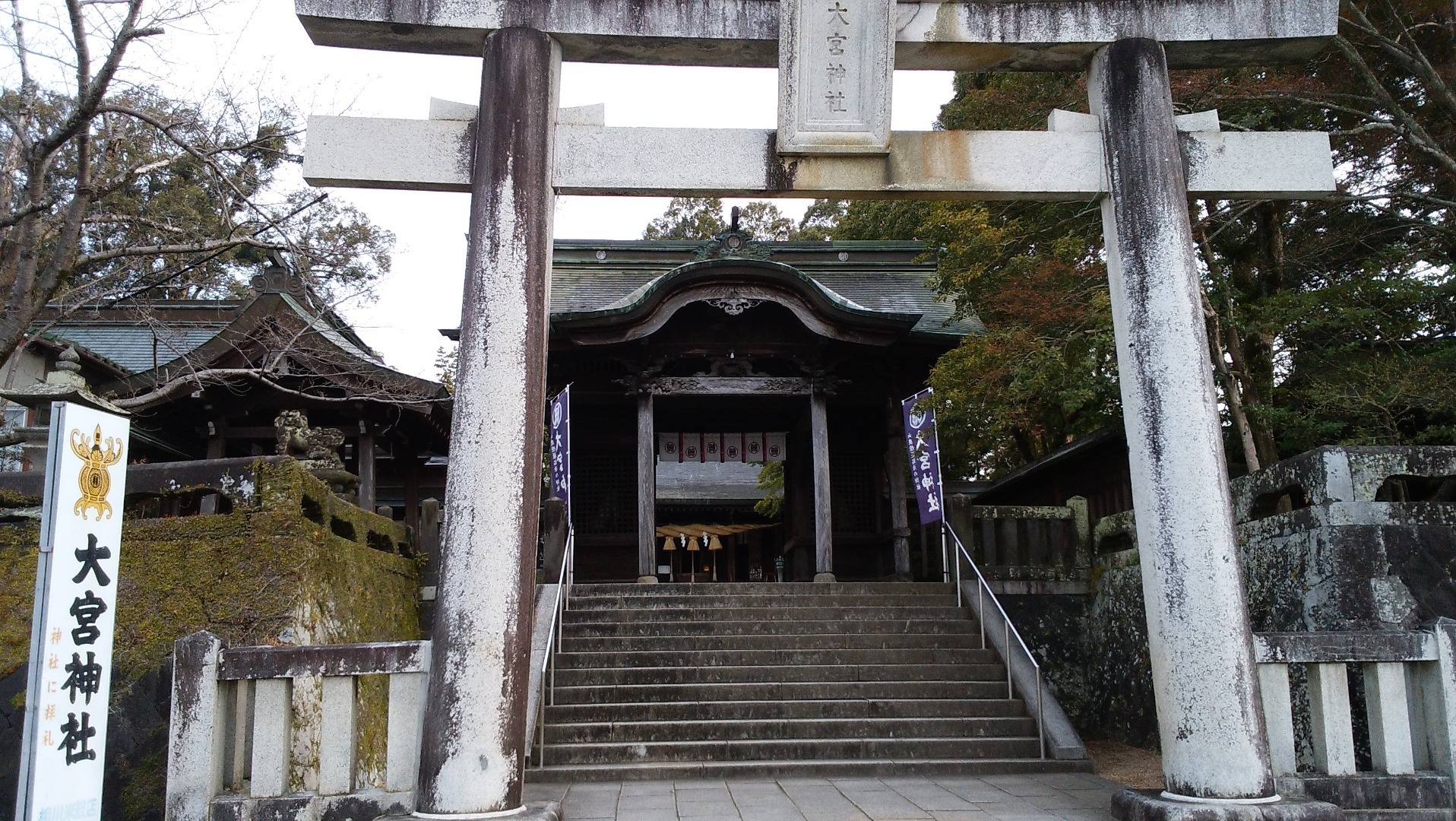 熊本 山鹿 大宮神社 は山鹿燈籠の起源の神社なのだそう おちびブログ 時々ネコとか温泉とか